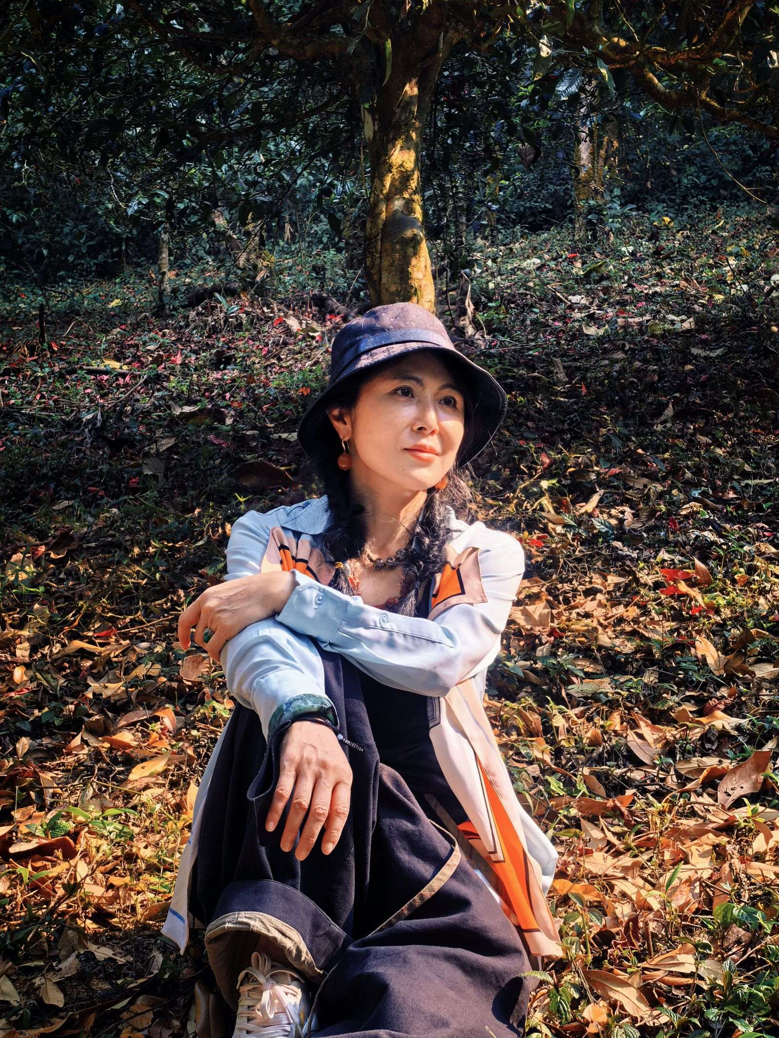 布朗山 实拍